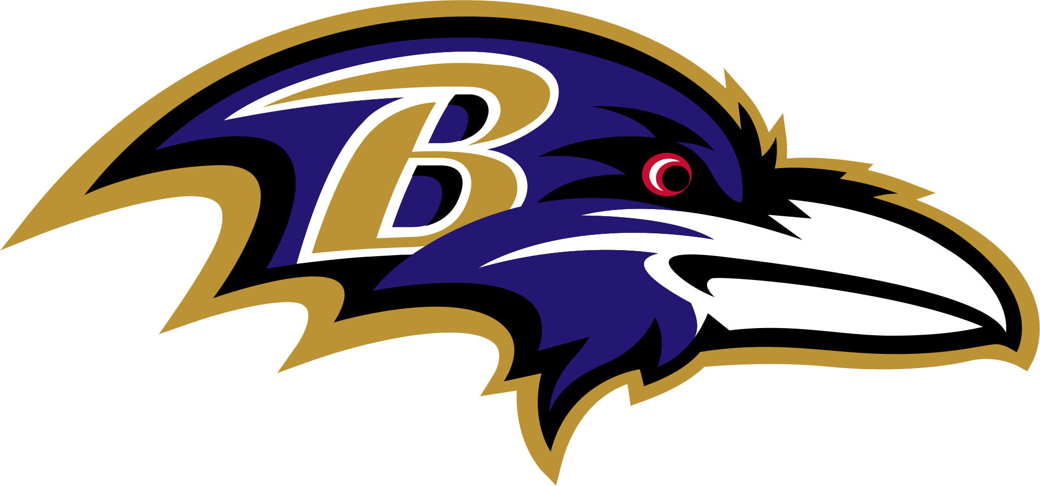 BALTIMORE RAVENS NFL Team Apparel AFC Football Embroidered Hook