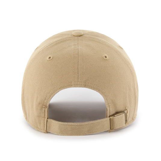 Chocolate Lab '47 Clean Up Cap